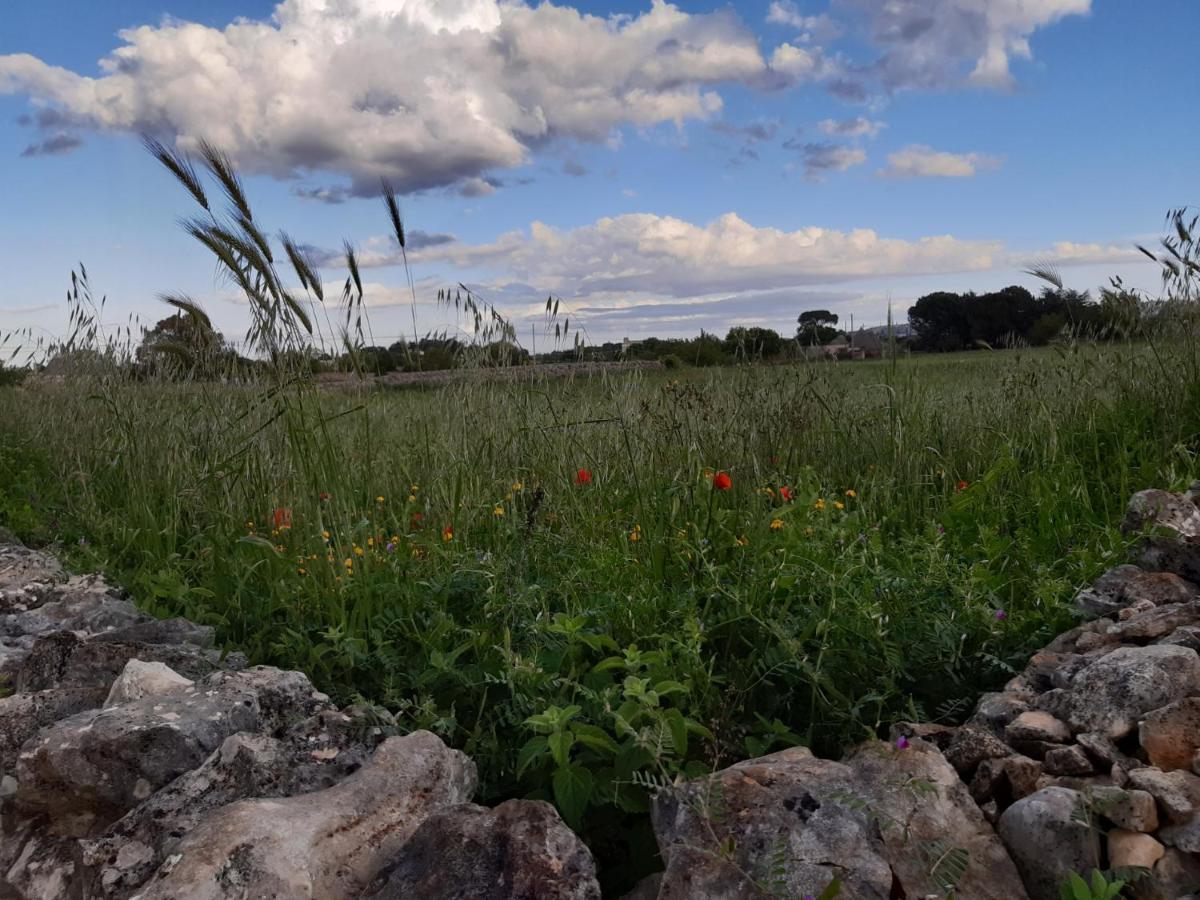 B&B Trulli Sotto La Cupa Martina Franca Eksteriør billede