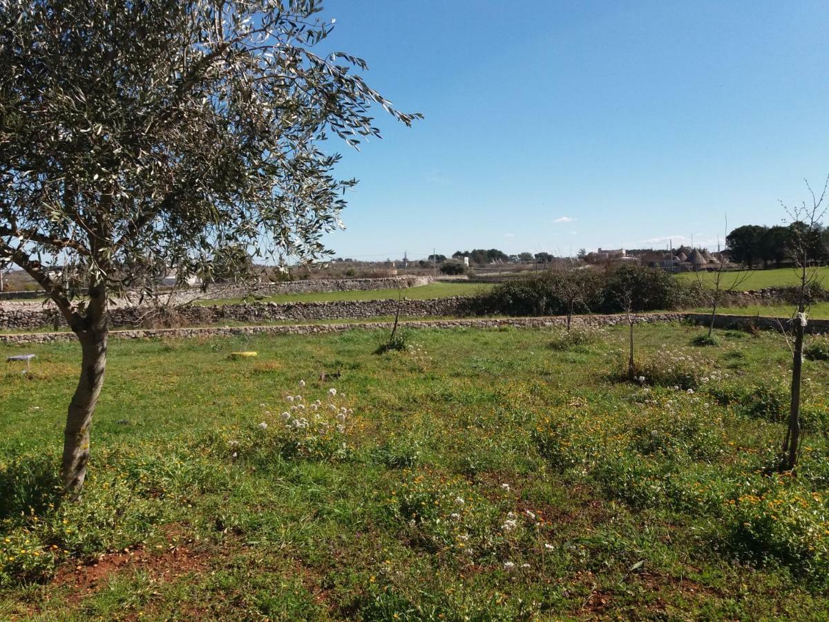 B&B Trulli Sotto La Cupa Martina Franca Eksteriør billede